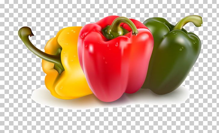 Bell Pepper Capsicum Italian Cuisine Food PNG, Clipart, Bell Peppers And Chili Peppers, Black Pepper, Cayenne Pepper, Chili Pepper, Diet Food Free PNG Download