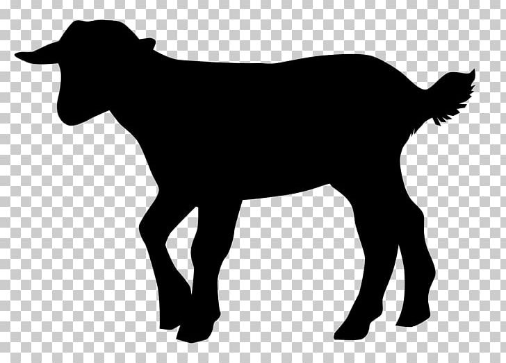 Cattle Sheep Goat Intensive Animal Farming L214 PNG, Clipart, Animal, Animal Husbandry, Animals, Black, Black And White Free PNG Download