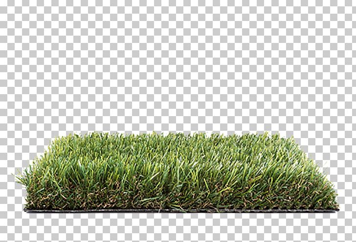 Lawn Artificial Turf Grasses Luxury Goods Swimming Pool PNG, Clipart, Artificial Turf, Grass, Grasses, Grass Family, Lawn Free PNG Download