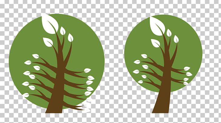 Newcastle Tree Services Tree Stump Root Leaf PNG, Clipart, Circle, Crown, Flora, Grass, Green Free PNG Download