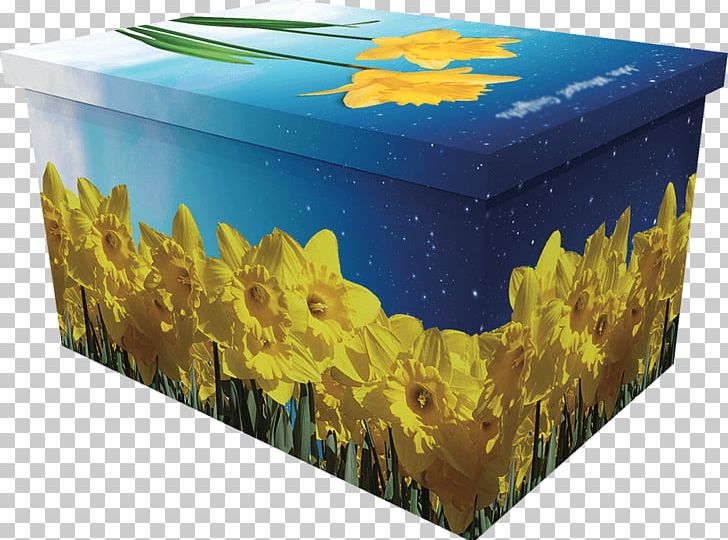 Coffin Box I Wandered Lonely As A Cloud Daffodil Flower PNG, Clipart, Box, Cardboard, Casket, Coffin, Daffodil Free PNG Download