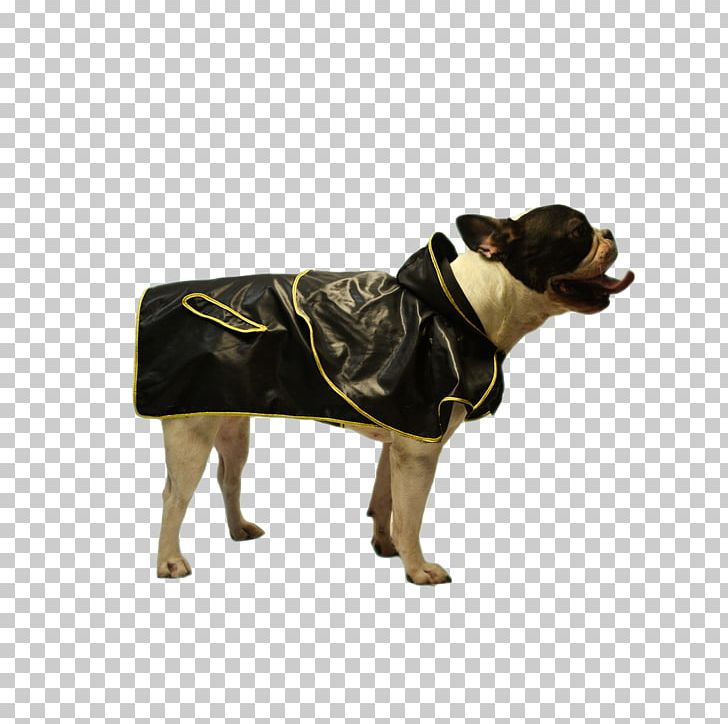 Raincoat Dog Breed T-shirt Hoodie Clothing PNG, Clipart, Burberry, Clothing, Coat, Collar, Dog Free PNG Download