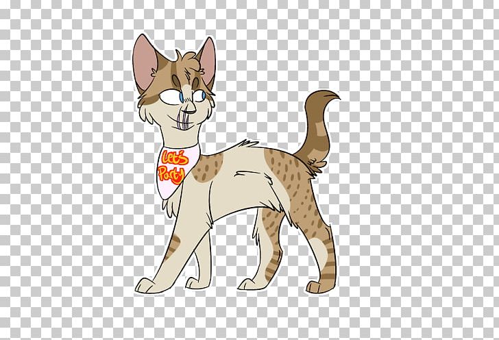 Sokoke American Wirehair Kitten Whiskers Tabby Cat PNG, Clipart,  Free PNG Download