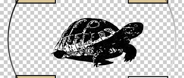 Box Turtles Tortoise Sea Turtle Last Bell PNG, Clipart, 2018 Chinese, Animal, Animals, Black And White, Box Turtle Free PNG Download