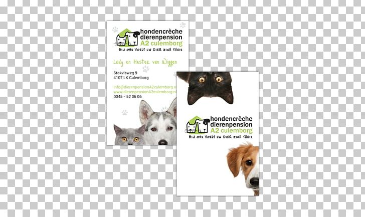 Cat Dog Breed Fauna Brand PNG, Clipart, Advertising, Animals, Brand, Breed, Cat Free PNG Download