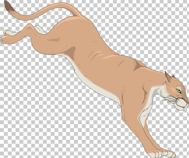 Cougar Black Panther PNG, Clipart, Animal, Animals, Arm, Athletics Running, Big Cats Free PNG Download