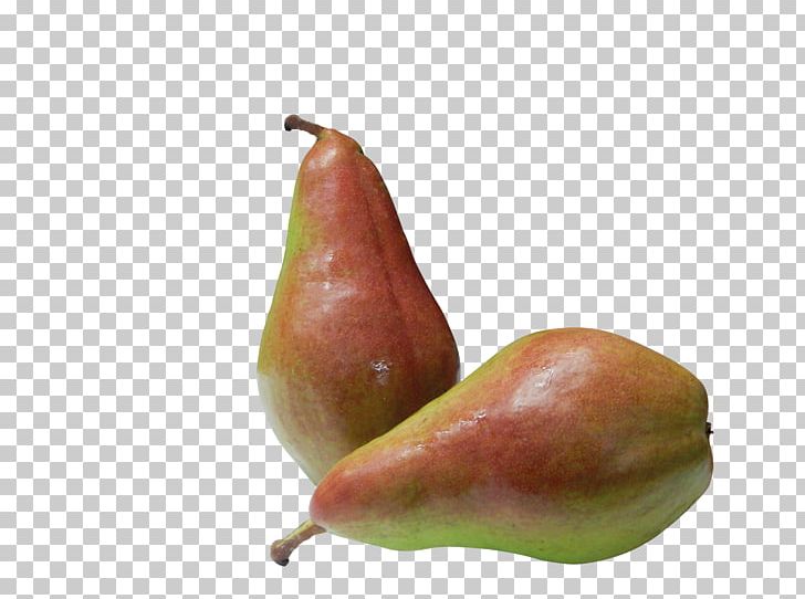 Pyrus Communis 'Thimo' Fruit Logistica Conference Pear PNG, Clipart,  Free PNG Download