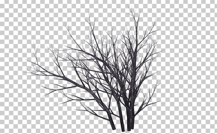 Tree Photography Drawing PNG, Clipart, 3 D Render, 3d Rendering, Black And White, Branch, Bush Free PNG Download