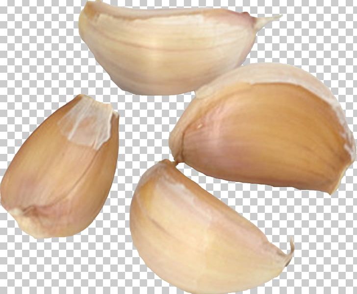 Garlic Ingredient Euclidean PNG, Clipart, Designer, Encapsulated Postscript, Family Health, Garlic, Gratis Free PNG Download