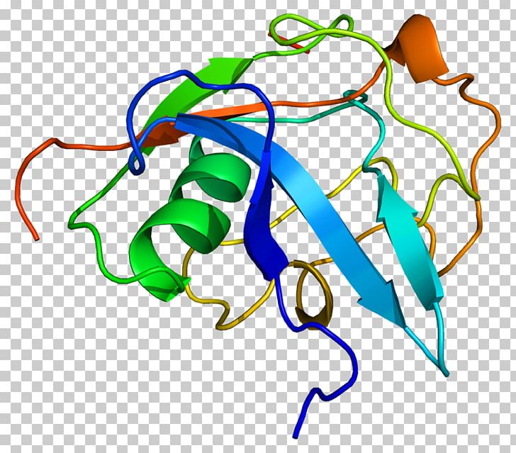 LGALS3BP Galectin-3 Lectin PNG, Clipart, Area, Artwork, Bcl2, Cell, Cell Adhesion Free PNG Download