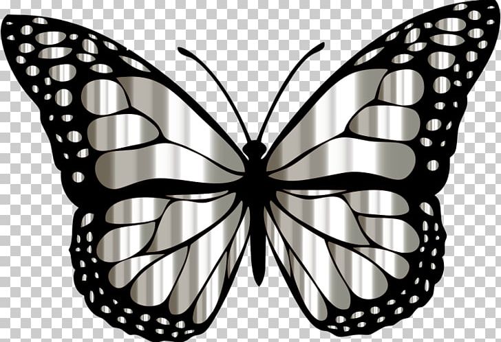 Desktop PNG, Clipart, Arthropod, Black And White, Brush Footed Butterfly, Butterfly, Color Free PNG Download