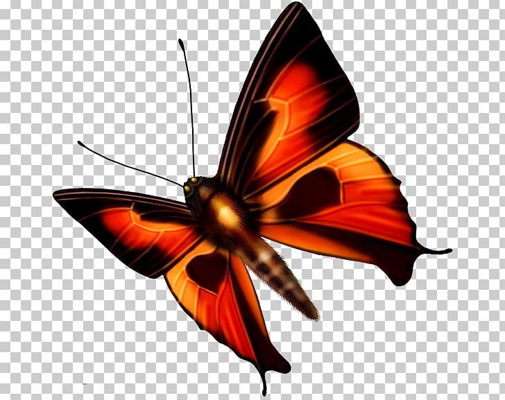 Monarch Butterfly Insect Color PNG, Clipart, Adobe Flash, Arthropod, Brush Footed Butterfly, Butterfly, Color Free PNG Download