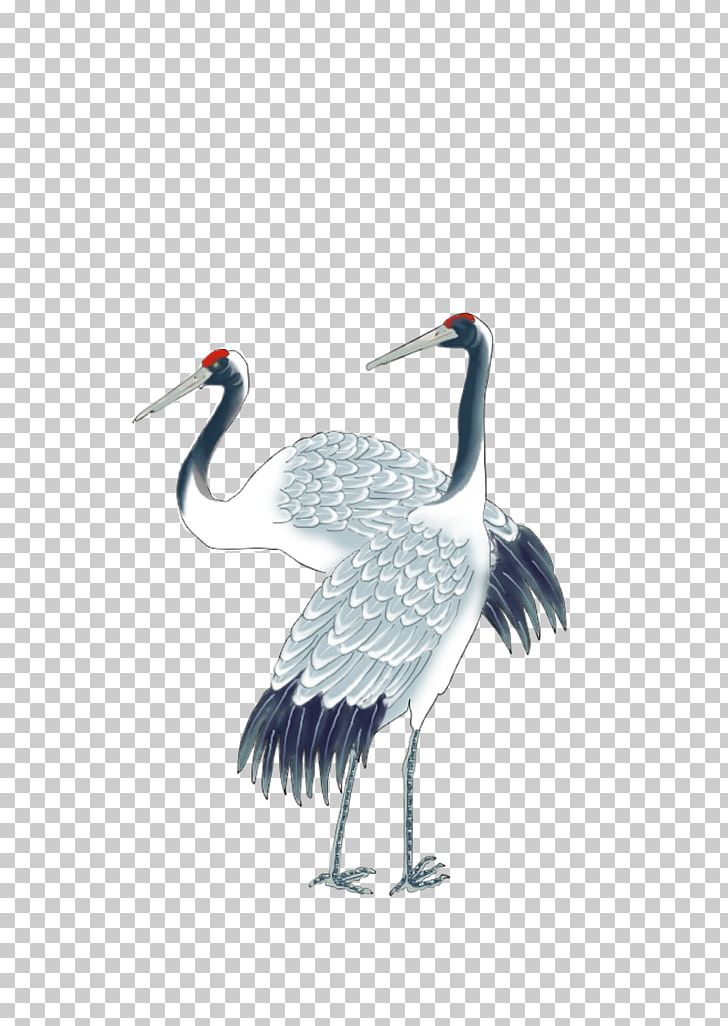 Siberian Crane PNG, Clipart, Beak, Bird, Ciconiiformes, Crane, Crane Bird Free PNG Download