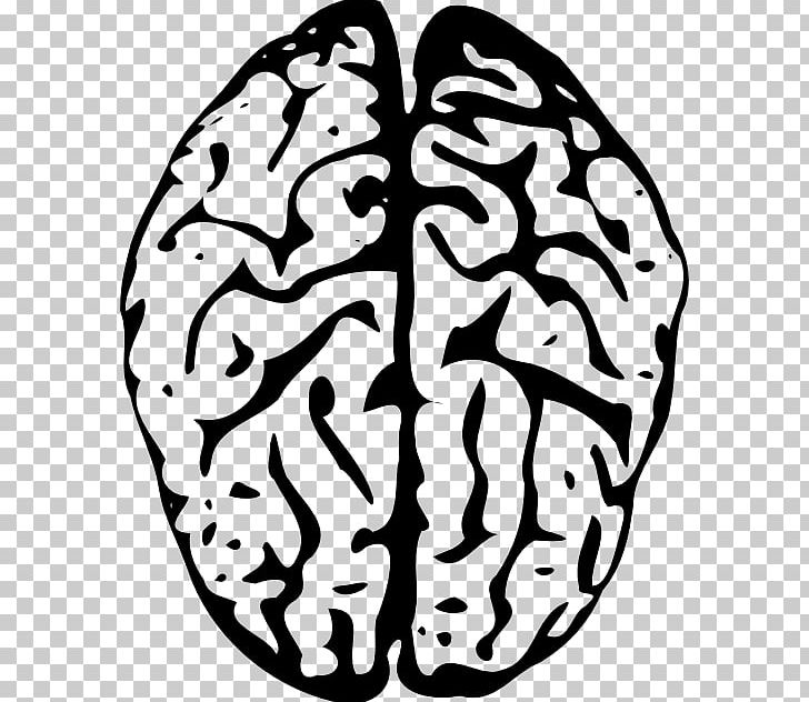 The Female Brain Human Brain PNG, Clipart, Artwork, Black And White, Brain, Circle, Clip Art Free PNG Download