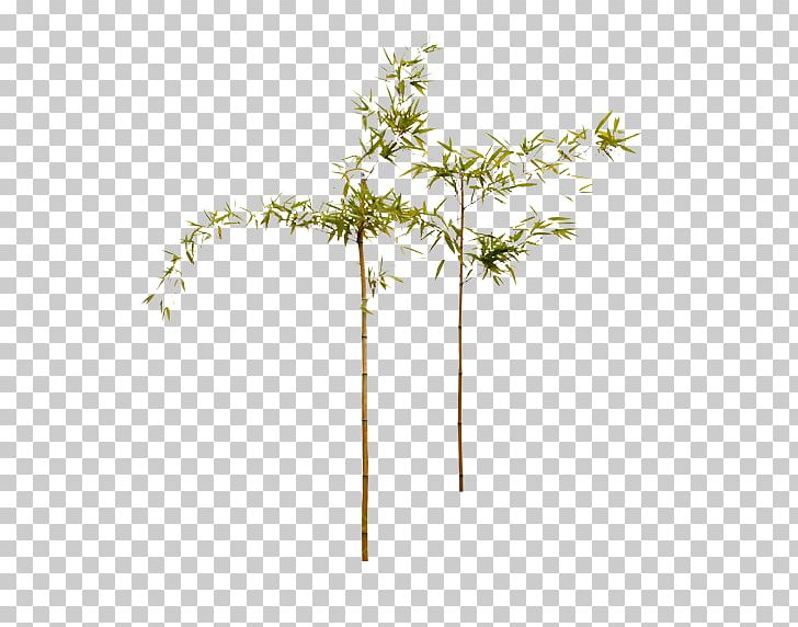Bamboo Bamboe PNG, Clipart, Bamboo Border, Bamboo Frame, Bamboo Leaf, Bamboo Leaves, Bamboo Tree Free PNG Download