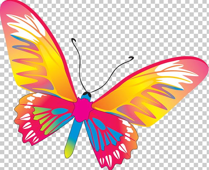 Butterfly Drawing PNG, Clipart, Brush Footed Butterfly, Butterflies And Moths, Butterfly, Drawing, Insect Free PNG Download