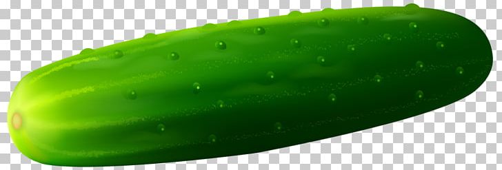Cucumber Vegetable PNG, Clipart, Chili Pepper, Cucumber, Cucumber Clipart, Cucumber Gourd And Melon Family, Cucumis Free PNG Download