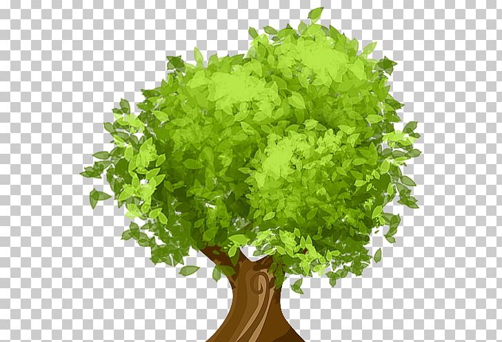 Tree Pruning Arborist Climate Change Crown PNG, Clipart, Arborist, Business, Business Process, Cartoon, Climate Change Free PNG Download