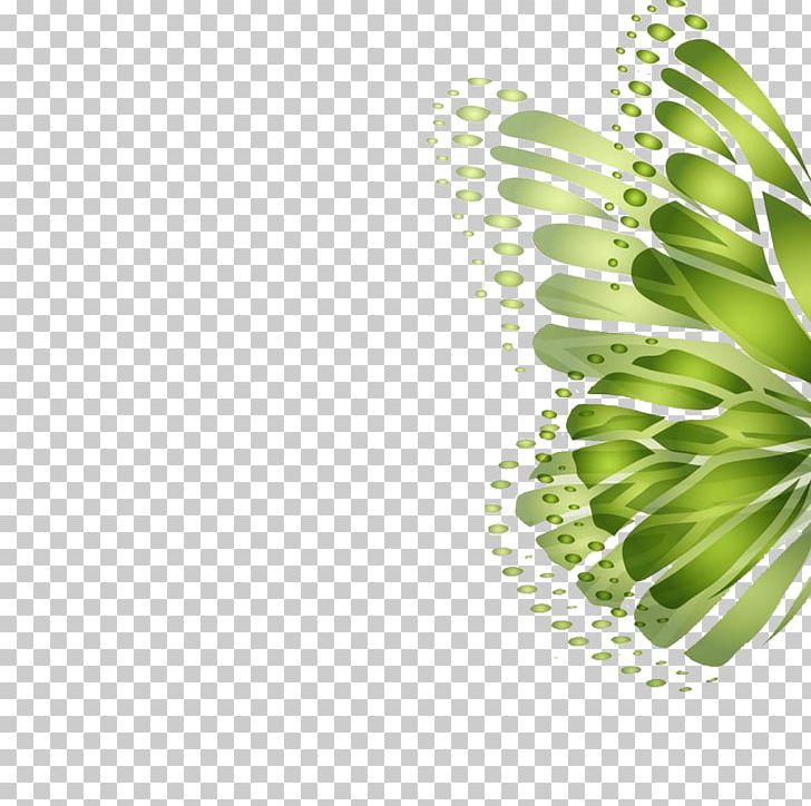 Butterfly Green High-definition Television PNG, Clipart, 1080p, Abstract, Abstract Wings, Angel Wings, Art Free PNG Download