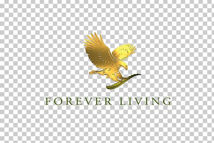 Forever Living Products MEDIA SECTOR Personal Care Amara Organics Aloe Vera Gel From Organic Cold Pressed Aloe Medifast PNG, Clipart, Aloe Vera, Beak, Brand, Company, Cosmetics Free PNG Download
