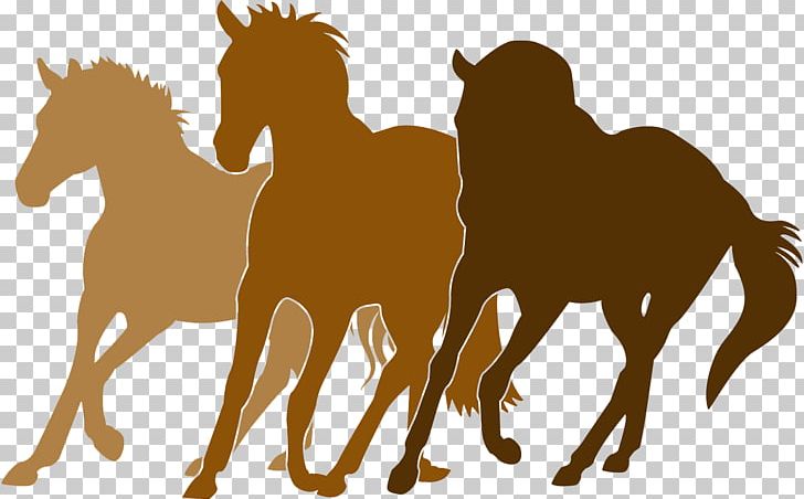 Horse Equestrian Silhouette PNG, Clipart, Animals, Camel Like Mammal, Collection, Equestrian, Foal Free PNG Download