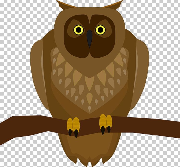 Owl Bird Computer Icons PNG, Clipart, Animals, Beak, Bird, Bird Of Prey, Branch Free PNG Download