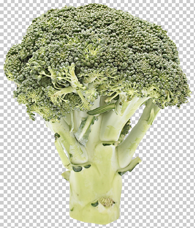 Cauliflower PNG, Clipart, Broccoflower, Broccoli, Cabbage, Cauliflower, Cut Flowers Free PNG Download