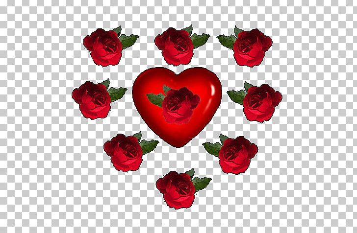 Garden Roses Cut Flowers Red PNG, Clipart, Animation, Cozum, Cut Flowers, Download, Flower Free PNG Download