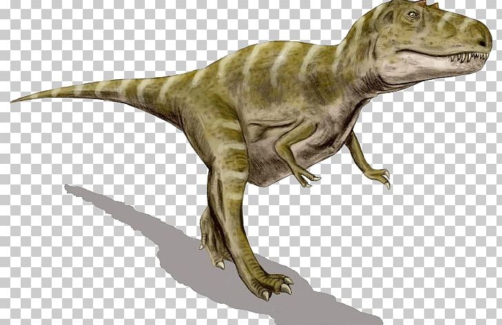 Gorgosaurus Albertosaurus Tyrannosaurus Agujaceratops Dinosaur PNG, Clipart, Allosaurus, Animal Figure, Dinosaur Park Formation, Encyclopedia Of Life, Extinction Free PNG Download