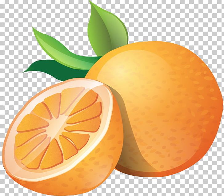 Orange PNG, Clipart, Bitter Orange, Citrus, Clement, Computer Icons, Desktop Wallpaper Free PNG Download