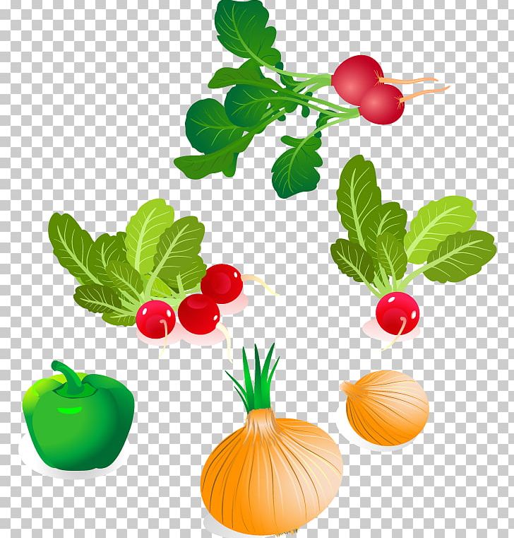 Vegetable PNG, Clipart, Branch, Flower, Food, Fruit, Happy Birthday Vector Images Free PNG Download