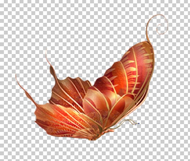 Butterfly Insect PNG, Clipart, Beautiful, Butterfly Vector, Color, Colorful Background, Colorful Vector Free PNG Download