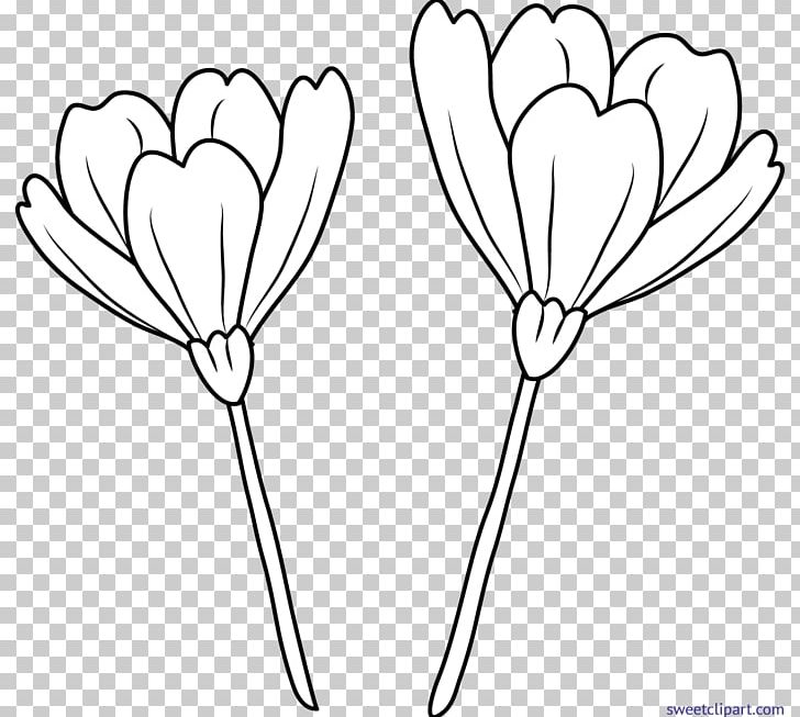 Drawing Flower Line Art PNG, Clipart, Black And White, Branch, Color, Coloring Book, Cut Flowers Free PNG Download