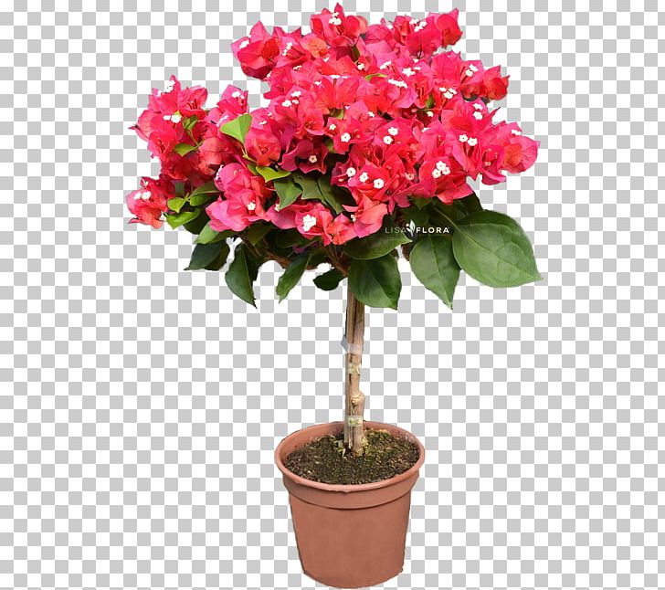 Azalea Flowerpot Houseplant Shrub IPhone XR PNG, Clipart, Annual Plant, Azalea, Cut Flowers, Flower, Flowering Plant Free PNG Download