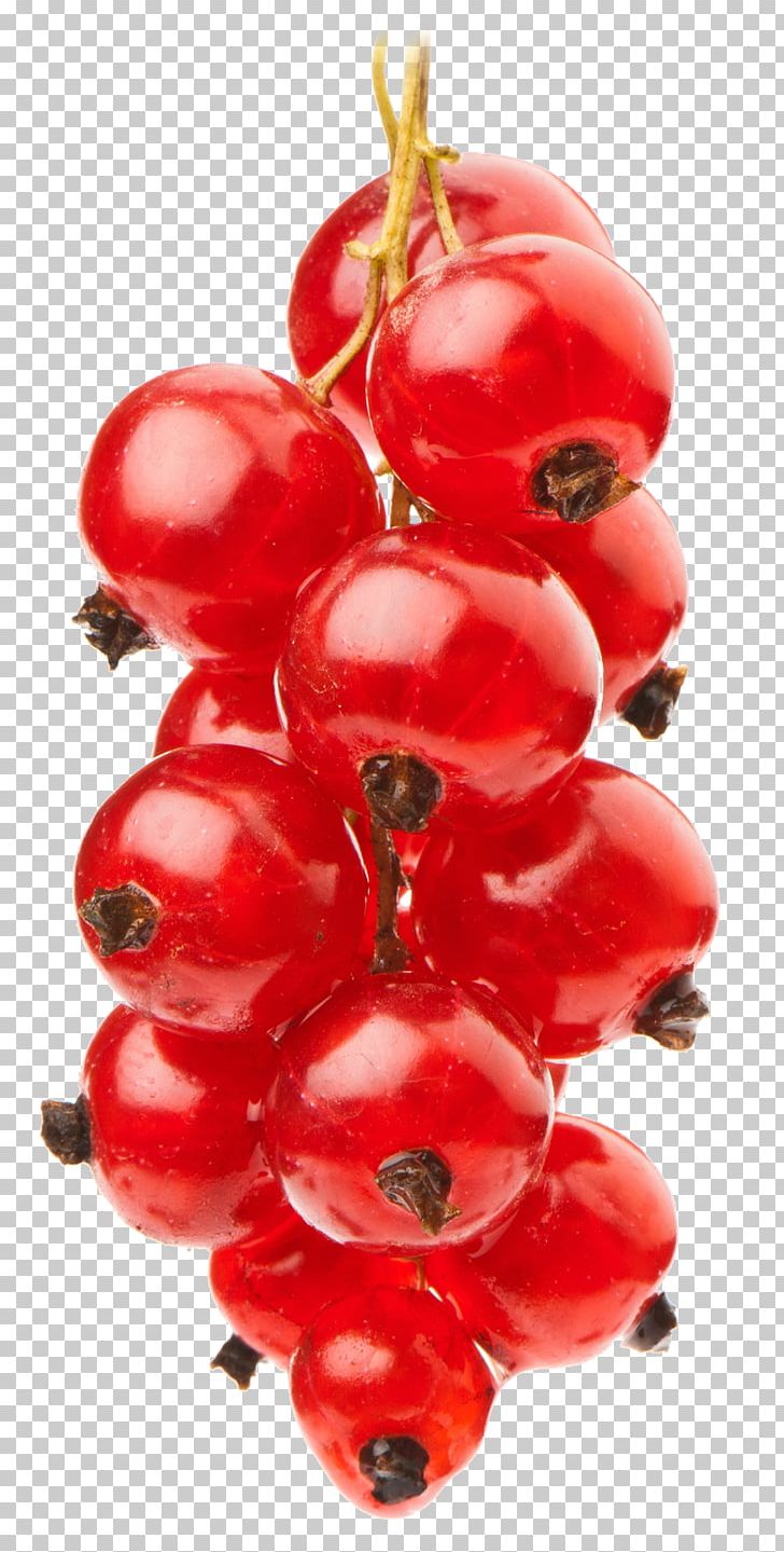Cranberry Eurofruit Vegetable PNG, Clipart, Auglis, Berry, Christmas Ornament, Cranberry, Currant Free PNG Download