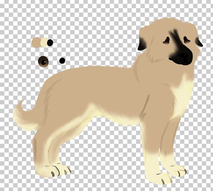 Dog Breed Puppy Sporting Group Cat PNG, Clipart, Breed, Carnivoran, Cat, Cat Like Mammal, Dog Free PNG Download