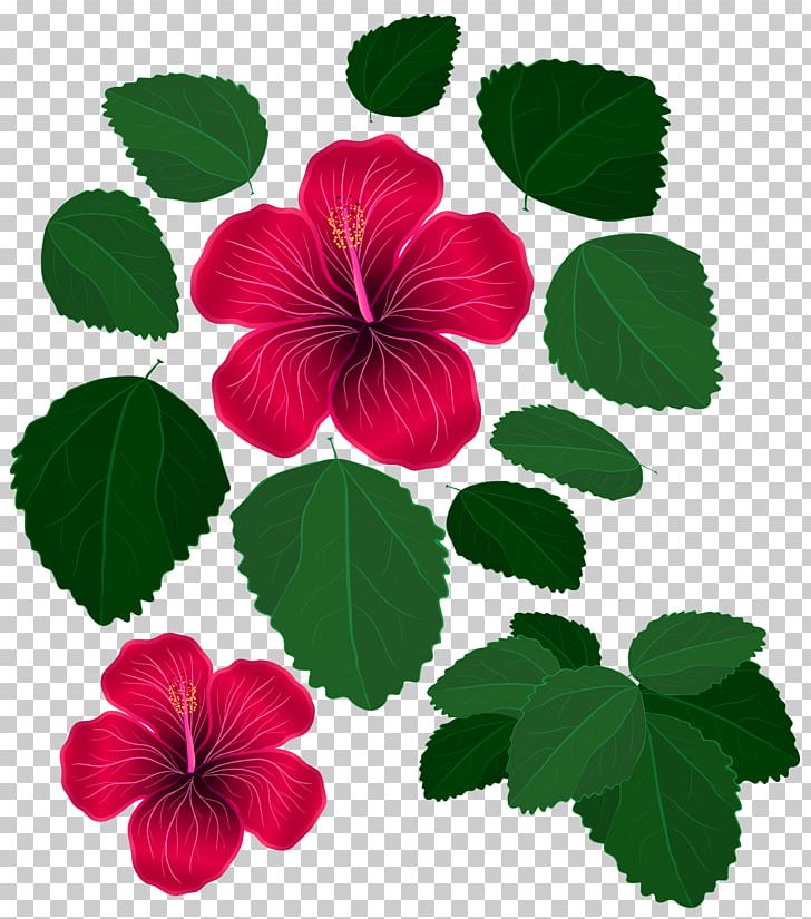 Flower Leaf Red PNG, Clipart, Annual Plant, Blue, Flower, Flowering Plant, Green Free PNG Download