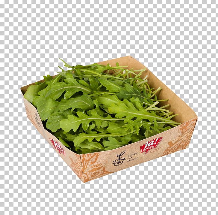 Spinach Spring Greens Herb Leaf Vegetable PNG, Clipart, Herb, Leaf Vegetable, Others, Rucola, Spinach Free PNG Download