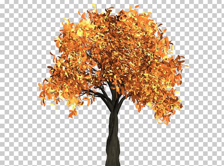 Tree Autumn Leaf Color PNG, Clipart, Autumn, Autumn Leaf Color, Branch, Deciduous, Display Resolution Free PNG Download