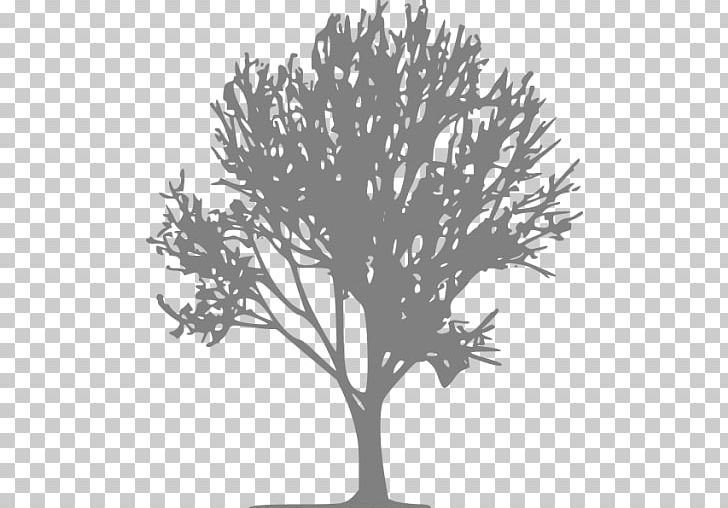 Vape Country Christmas Tree Computer Icons Portable Network Graphics PNG, Clipart, App, Black And White, Branch, Christmas Tree, Computer Icons Free PNG Download