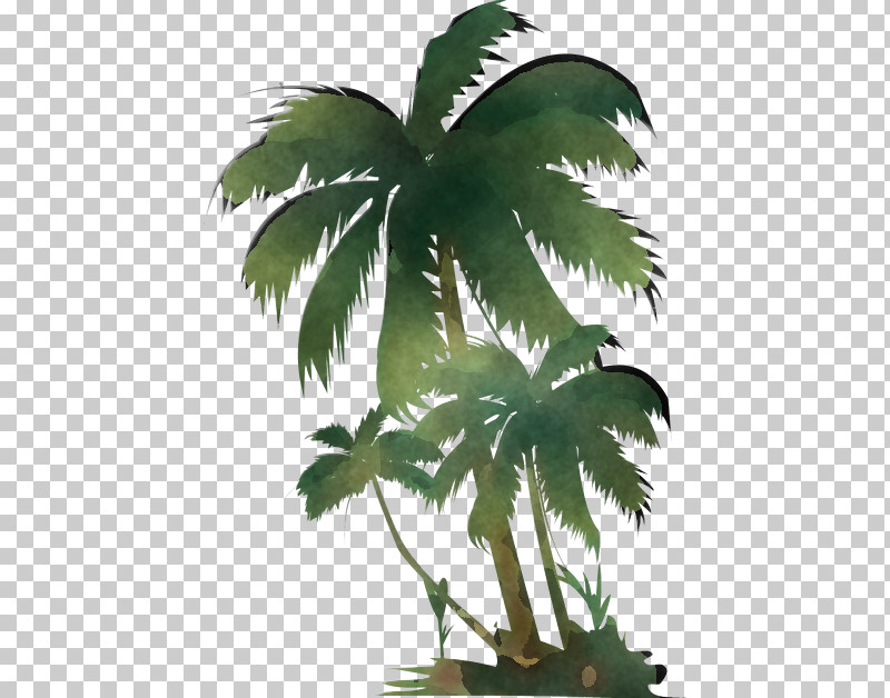 Coconut PNG, Clipart, Asian Palmyra Palm, Coconut, Cooking, Fruit, Lemon Free PNG Download