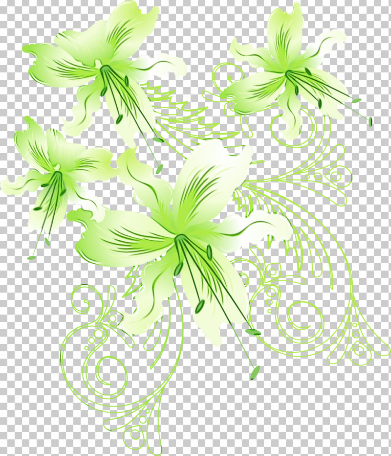 Green Plant Flower Leaf Pedicel PNG, Clipart, Flower, Green, Herbaceous Plant, Leaf, Paint Free PNG Download