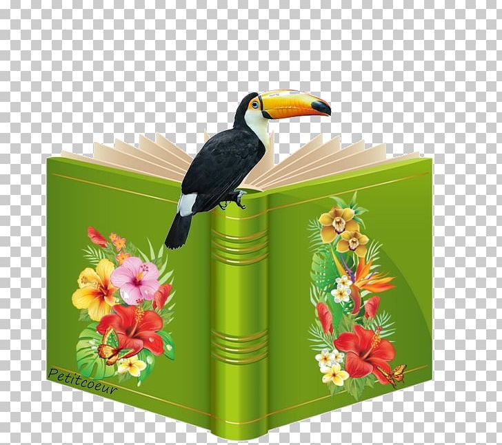 Bird Saffron Toucanet Beak Eating PNG, Clipart, Animals, Aracari, Beak, Bird, Eating Free PNG Download