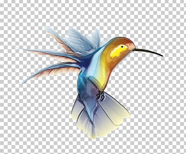 Hummingbird PNG, Clipart, Animal, Animals, Beak, Bird, Bird Flight Free PNG Download