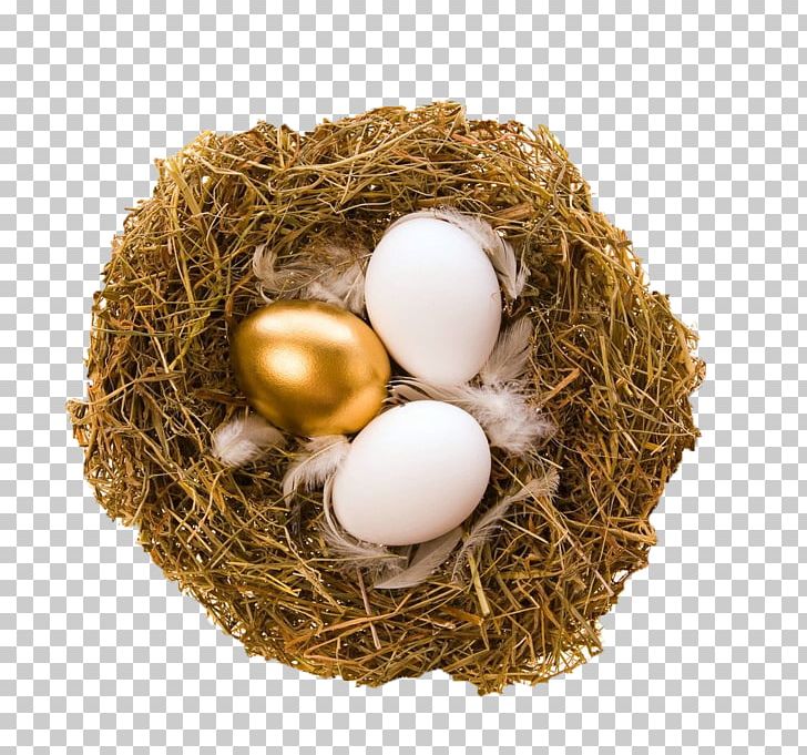 Quail Bird Nest Egg Bird Nest PNG, Clipart, Animals, Bird, Bird Egg, Bird Nest, Common Quail Free PNG Download