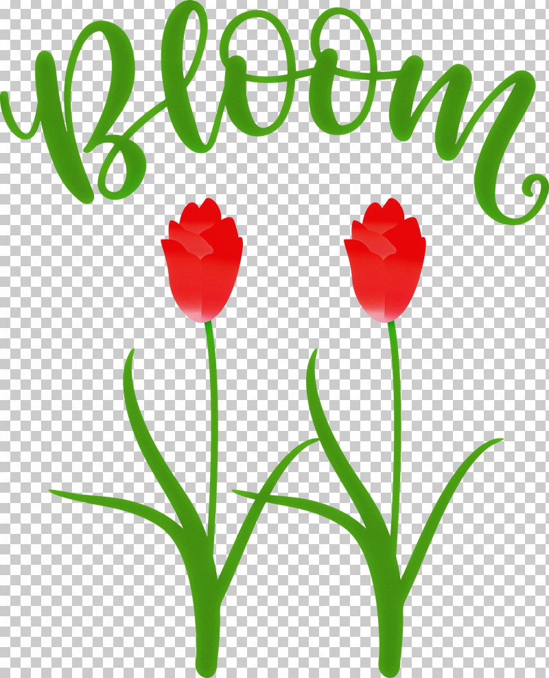 Bloom Spring Flower PNG, Clipart, Biology, Bloom, Cut Flowers, Floristry, Flower Free PNG Download