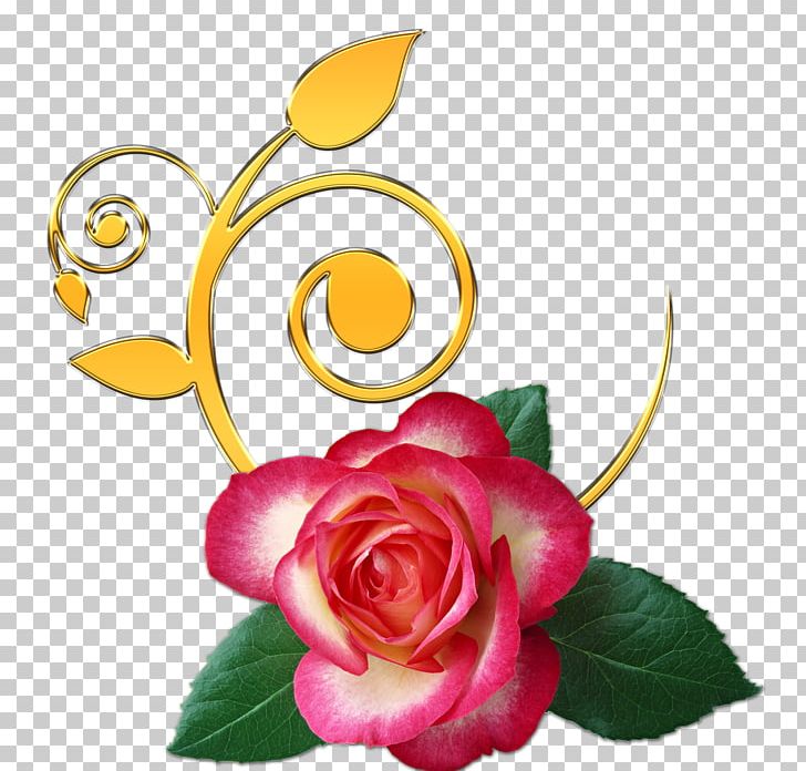 Garden Roses Flower Desktop PNG, Clipart, Cicek, Cicek Resimleri, Cut Flowers, Desktop Wallpaper, Digital Image Free PNG Download