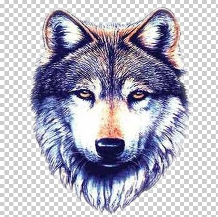 Gray Wolf Sleeve Tattoo Polynesia Nautical Star PNG, Clipart, Abziehtattoo, Animal, Animals, Carnivoran, Coyote Free PNG Download