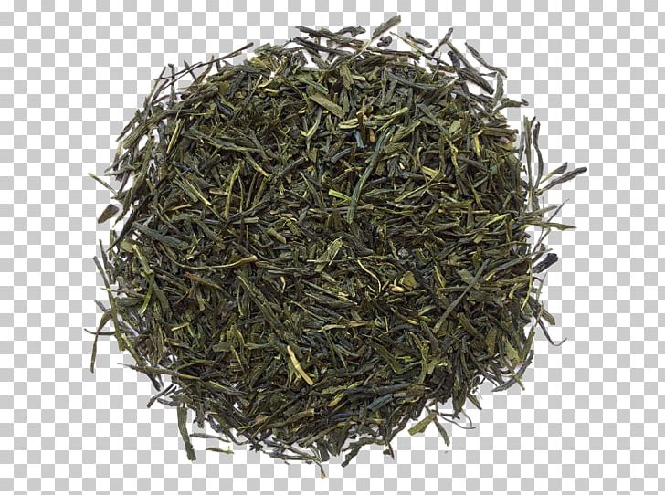 Gyokuro Nilgiri Tea Oolong Darjeeling Tea PNG, Clipart, Assam Tea, Baihao Yinzhen, Bai Mudan, Bancha, Biluochun Free PNG Download