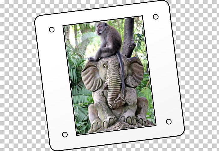 Lombok Inbound Mammal Culture History Wildlife PNG, Clipart, Animal, Culture, Fauna, Guided Democracy In Indonesia, History Free PNG Download